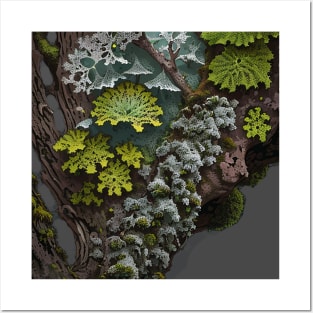 Closeup of Lichen on a Log Posters and Art